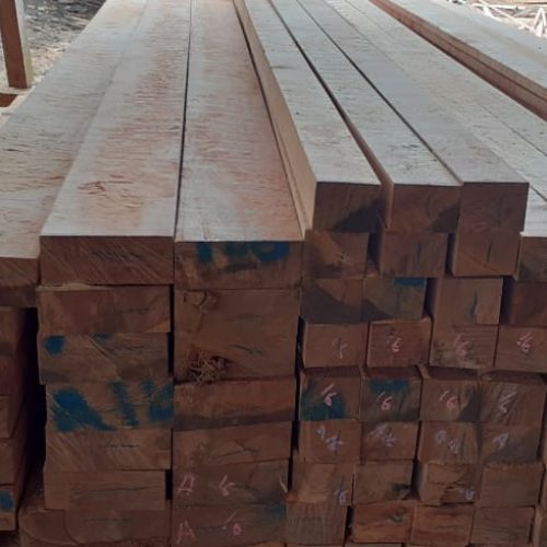 WhatsApp Image 2020-11-05 at 1.17.31 PM (1)