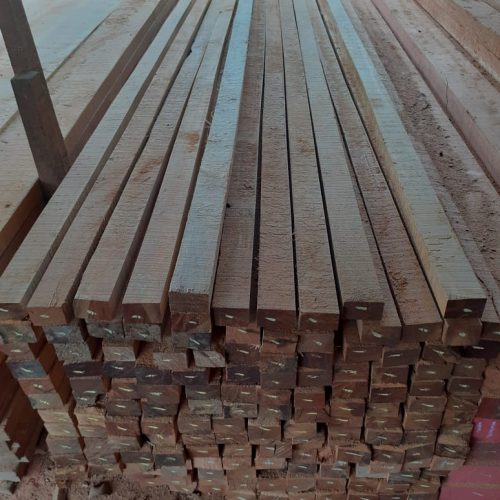 WhatsApp Image 2020-11-05 at 1.17.31 PM