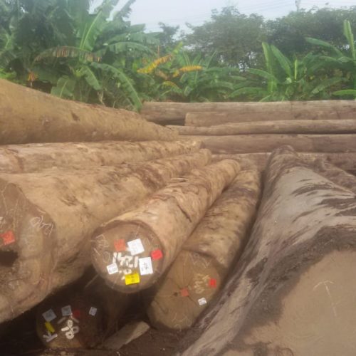 WhatsApp Image 2020-11-05 at 1.17.51 PM (1)