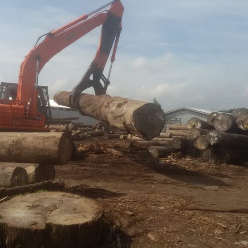 WhatsApp Image 2020-11-05 at 1.17.52 PM (1)