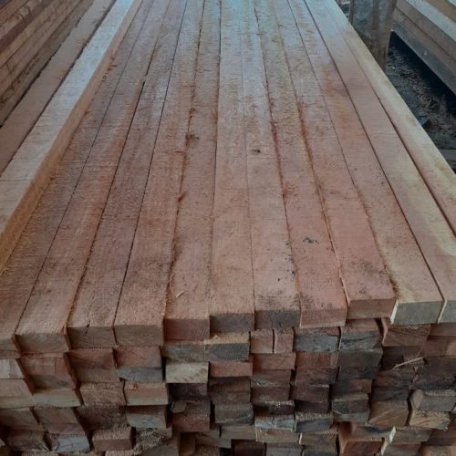 WhatsApp Image 2020-11-05 at 1.17.53 PM (1)