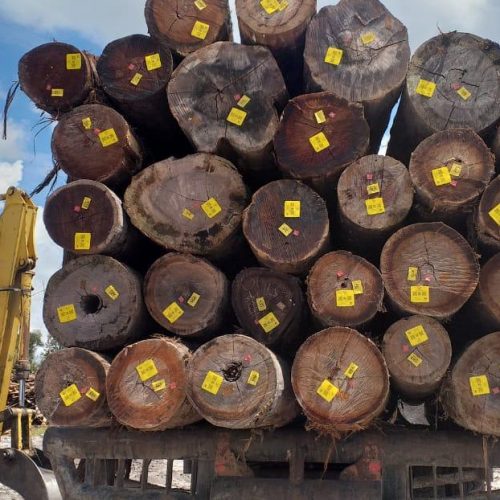 WhatsApp Image 2020-11-05 at 1.17.53 PM (2)