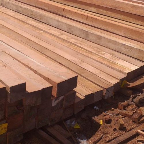 WhatsApp Image 2020-11-05 at 1.17.54 PM (1)