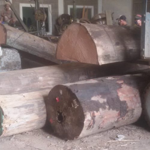 WhatsApp Image 2020-11-09 at 11.28.57 AM