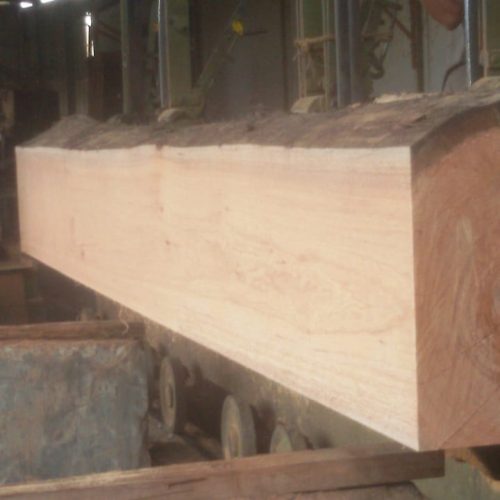 WhatsApp Image 2020-11-09 at 11.36.40 AM